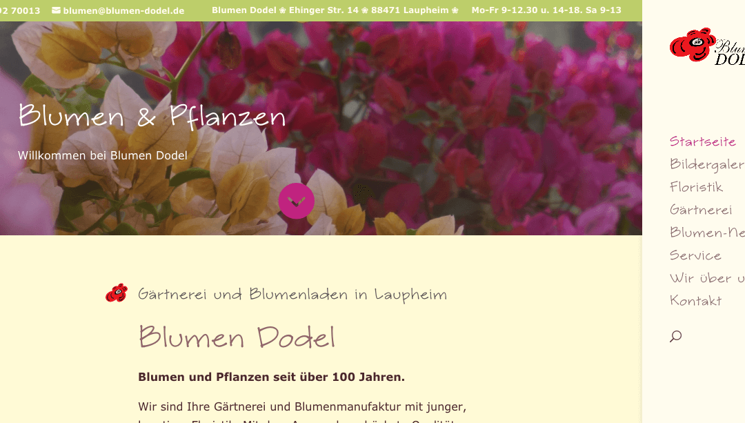 Blumen Dodel