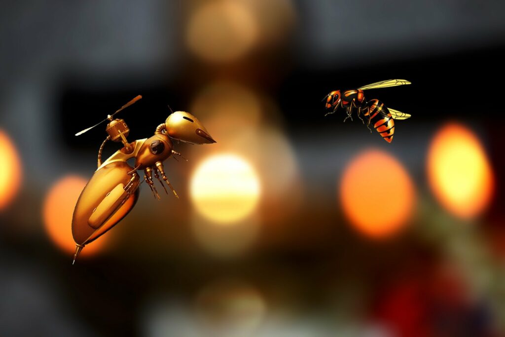 Biene und Drohne