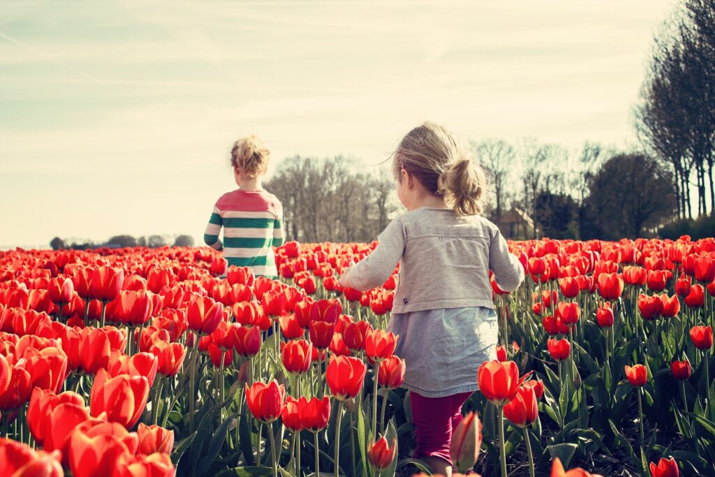 kinder lieben tulpen