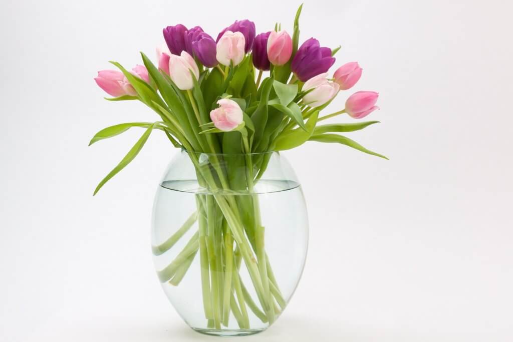 Rosa Tulpen In Vase