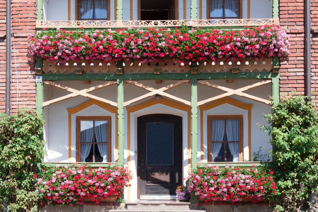 rote und rosane Geranien an Balkon und Eingang