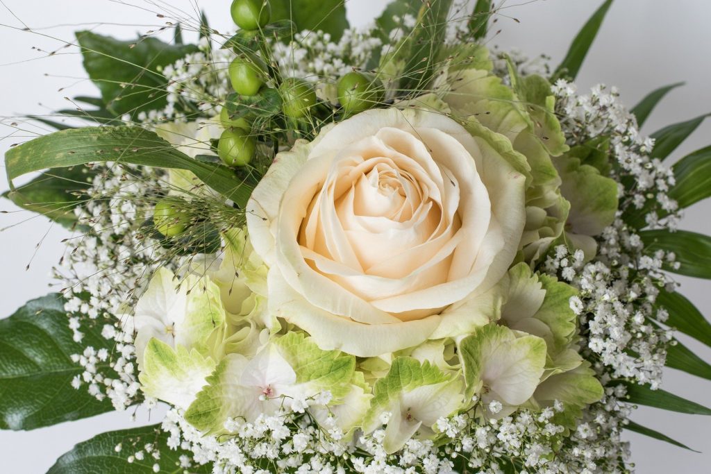 weiße Rose mit Hortensie und Schleierkraut